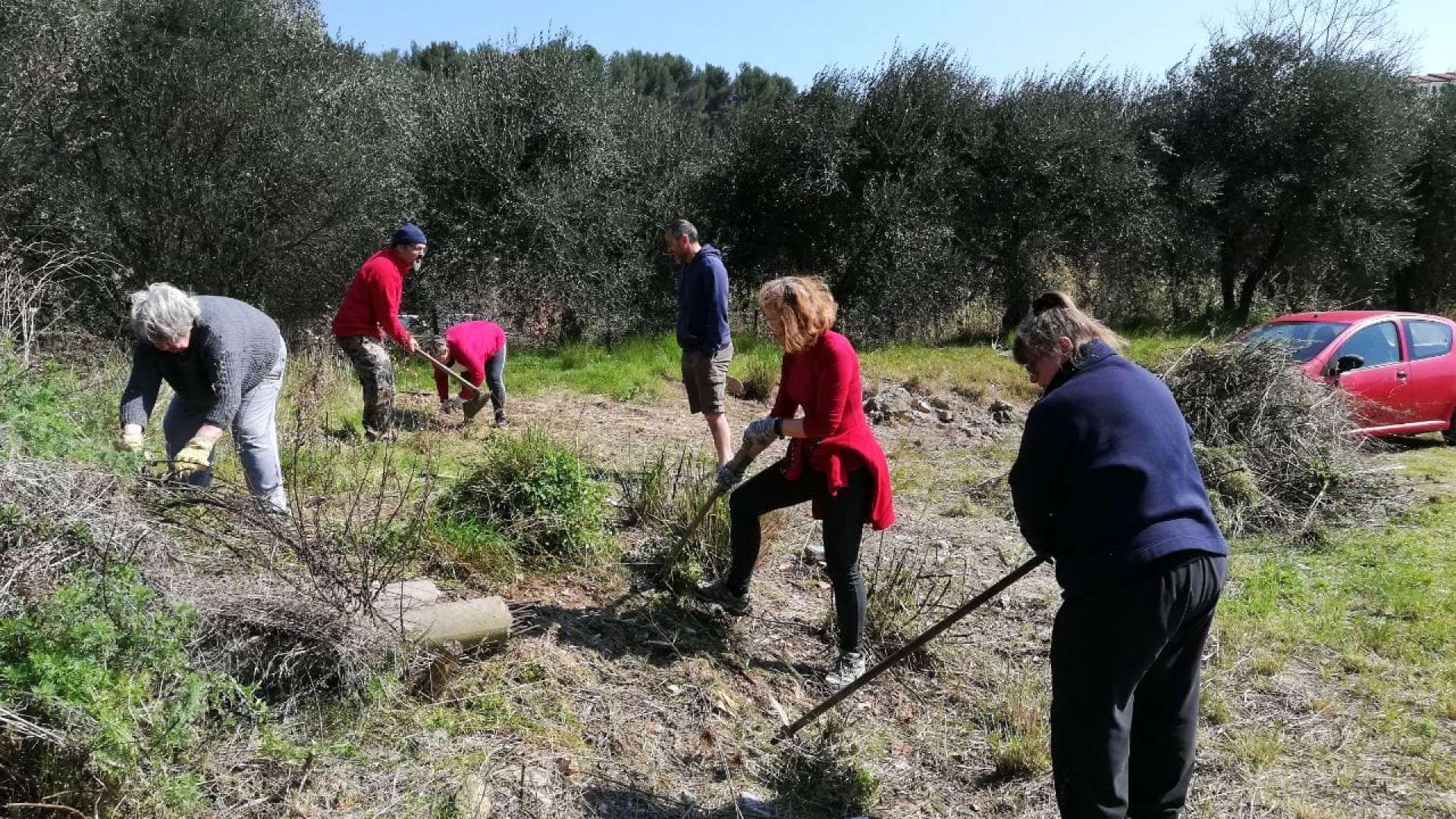 Gruppo Orto Condiviso