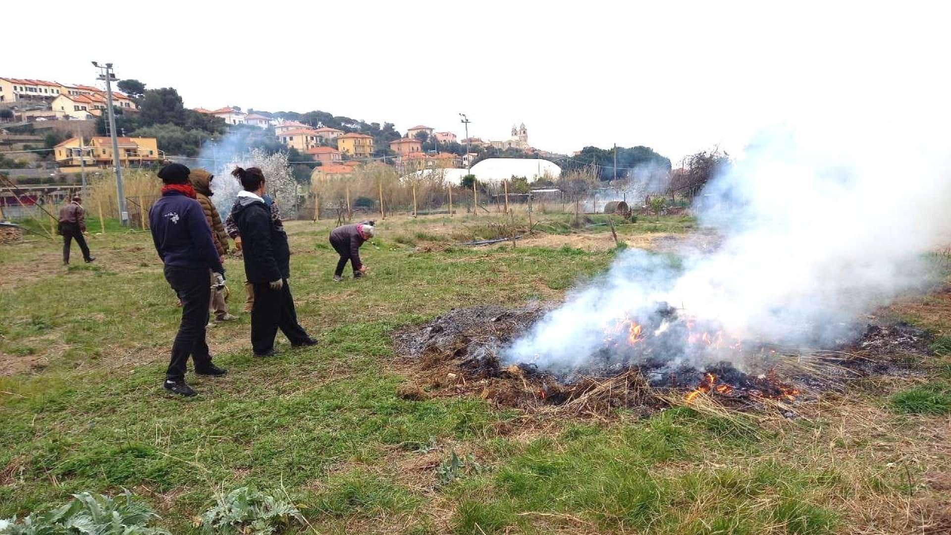 Gruppo Orto Condiviso