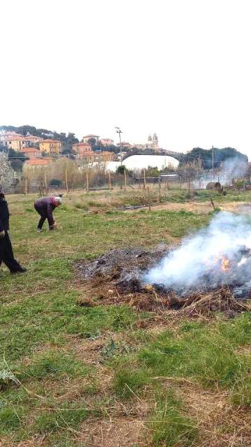 Gruppo Orto Condiviso